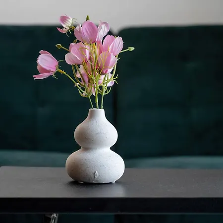 Elegant With Air Conditioning Near The Airport In By Renters Appartement