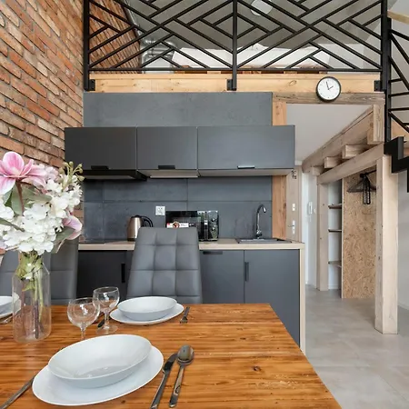 公寓 Elegant With Air Conditioning Near The Airport In By Renters 弗罗茨瓦夫