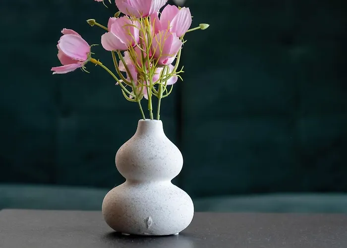 Elegant With Air Conditioning Near The Airport In By Renters Daire